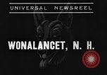 Image les chiens de traîneau Wonalancet New Hampshire USA, 1939, de la seconde 3 séquences d'archives historiques vidéo 65675070946