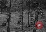 Image les chiens de traîneau Wonalancet New Hampshire USA, 1939, de la seconde 4 séquences d'archives historiques vidéo 65675070946