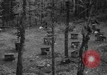 Image les chiens de traîneau Wonalancet New Hampshire USA, 1939, de la seconde 6 séquences d'archives historiques vidéo 65675070946