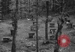 Image les chiens de traîneau Wonalancet New Hampshire USA, 1939, de la seconde 7 séquences d'archives historiques vidéo 65675070946