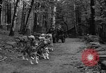 Image les chiens de traîneau Wonalancet New Hampshire USA, 1939, de la seconde 13 séquences d'archives historiques vidéo 65675070946