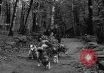 Image les chiens de traîneau Wonalancet New Hampshire USA, 1939, de la seconde 14 séquences d'archives historiques vidéo 65675070946