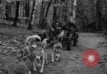 Image les chiens de traîneau Wonalancet New Hampshire USA, 1939, de la seconde 17 séquences d'archives historiques vidéo 65675070946