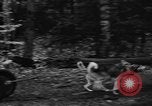Image les chiens de traîneau Wonalancet New Hampshire USA, 1939, de la seconde 33 séquences d'archives historiques vidéo 65675070946