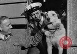 Standbild Antarktis Expedition Boston Massachusetts USA, 1939, aus Sekunde 18 historischem Filmmaterial Videoclip 65675070953