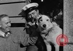 Standbild Antarktis Expedition Boston Massachusetts USA, 1939, aus Sekunde 19 historischem Filmmaterial Videoclip 65675070953