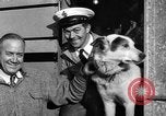 Standbild Antarktis Expedition Boston Massachusetts USA, 1939, aus Sekunde 20 historischem Filmmaterial Videoclip 65675070953