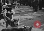 Standbild Antarktis Expedition Boston Massachusetts USA, 1939, aus Sekunde 21 historischem Filmmaterial Videoclip 65675070953