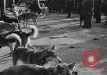 Standbild Antarktis Expedition Boston Massachusetts USA, 1939, aus Sekunde 22 historischem Filmmaterial Videoclip 65675070953