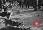 Standbild Antarktis Expedition Boston Massachusetts USA, 1939, aus Sekunde 23 historischem Filmmaterial Videoclip 65675070953