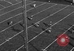 Standbild American Football Match Eugene Oregon USA, 1939, aus Sekunde 15 historischem Filmmaterial Videoclip 65675070956