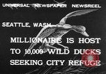 Image of wild ducks Seattle Washington USA, 1932, second 1 stock footage video 65675070958
