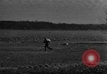 Image of wild ducks Seattle Washington USA, 1932, second 22 stock footage video 65675070958