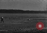 Image of wild ducks Seattle Washington USA, 1932, second 27 stock footage video 65675070958