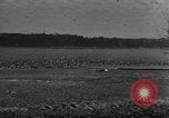 Image of wild ducks Seattle Washington USA, 1932, second 28 stock footage video 65675070958
