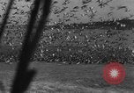 Image of wild ducks Seattle Washington USA, 1932, second 31 stock footage video 65675070958
