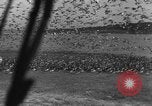 Image of wild ducks Seattle Washington USA, 1932, second 34 stock footage video 65675070958