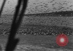 Image of wild ducks Seattle Washington USA, 1932, second 36 stock footage video 65675070958