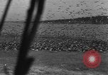 Image of wild ducks Seattle Washington USA, 1932, second 37 stock footage video 65675070958