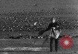 Image of wild ducks Seattle Washington USA, 1932, second 38 stock footage video 65675070958