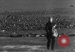 Image of wild ducks Seattle Washington USA, 1932, second 39 stock footage video 65675070958