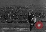 Image of wild ducks Seattle Washington USA, 1932, second 40 stock footage video 65675070958