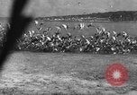 Image of wild ducks Seattle Washington USA, 1932, second 50 stock footage video 65675070958