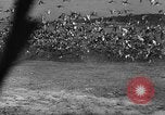 Image of wild ducks Seattle Washington USA, 1932, second 51 stock footage video 65675070958