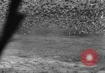 Image of wild ducks Seattle Washington USA, 1932, second 53 stock footage video 65675070958