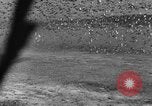 Image of wild ducks Seattle Washington USA, 1932, second 55 stock footage video 65675070958