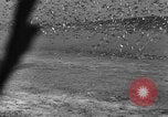 Image of wild ducks Seattle Washington USA, 1932, second 56 stock footage video 65675070958