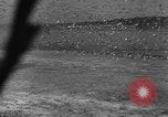 Image of wild ducks Seattle Washington USA, 1932, second 59 stock footage video 65675070958