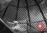 Image of Grady Nix Miami Beach Florida USA, 1932, second 46 stock footage video 65675070960