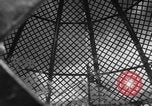 Image of Grady Nix Miami Beach Florida USA, 1932, second 48 stock footage video 65675070960