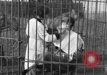 Immagine di Ragazza barbiere Inzersdorf Austria, 1932, secondo 19 filmato di repertorio 65675070963