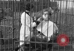 Immagine di Ragazza barbiere Inzersdorf Austria, 1932, secondo 20 filmato di repertorio 65675070963