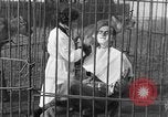 Immagine di Ragazza barbiere Inzersdorf Austria, 1932, secondo 21 filmato di repertorio 65675070963