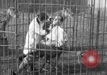 Immagine di Ragazza barbiere Inzersdorf Austria, 1932, secondo 35 filmato di repertorio 65675070963