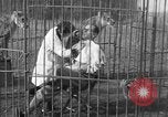Immagine di Ragazza barbiere Inzersdorf Austria, 1932, secondo 37 filmato di repertorio 65675070963