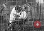 Immagine di Ragazza barbiere Inzersdorf Austria, 1932, secondo 38 filmato di repertorio 65675070963