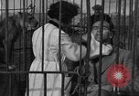 Immagine di Ragazza barbiere Inzersdorf Austria, 1932, secondo 55 filmato di repertorio 65675070963