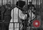 Immagine di Ragazza barbiere Inzersdorf Austria, 1932, secondo 56 filmato di repertorio 65675070963