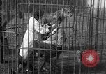 Immagine di Ragazza barbiere Inzersdorf Austria, 1932, secondo 58 filmato di repertorio 65675070963