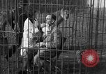 Immagine di Ragazza barbiere Inzersdorf Austria, 1932, secondo 59 filmato di repertorio 65675070963