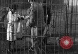 Immagine di Ragazza barbiere Inzersdorf Austria, 1932, secondo 61 filmato di repertorio 65675070963