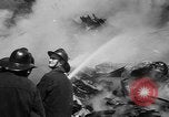 Image of B-50 bomber Seattle Washington USA, 1951, second 39 stock footage video 65675070971