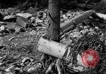 Image of floods Italy, 1951, second 31 stock footage video 65675070972