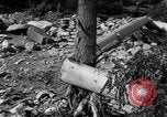 Image of floods Italy, 1951, second 32 stock footage video 65675070972