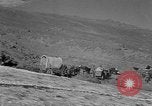 Standbild Produktion von Film Oregon United States USA, 1951, aus Sekunde 60 historischem Filmmaterial Videoclip 65675070976