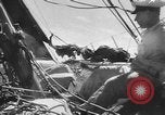Immagine di Yachts Canale in inglese, 1951, secondo 45 filmato di repertorio 65675070977